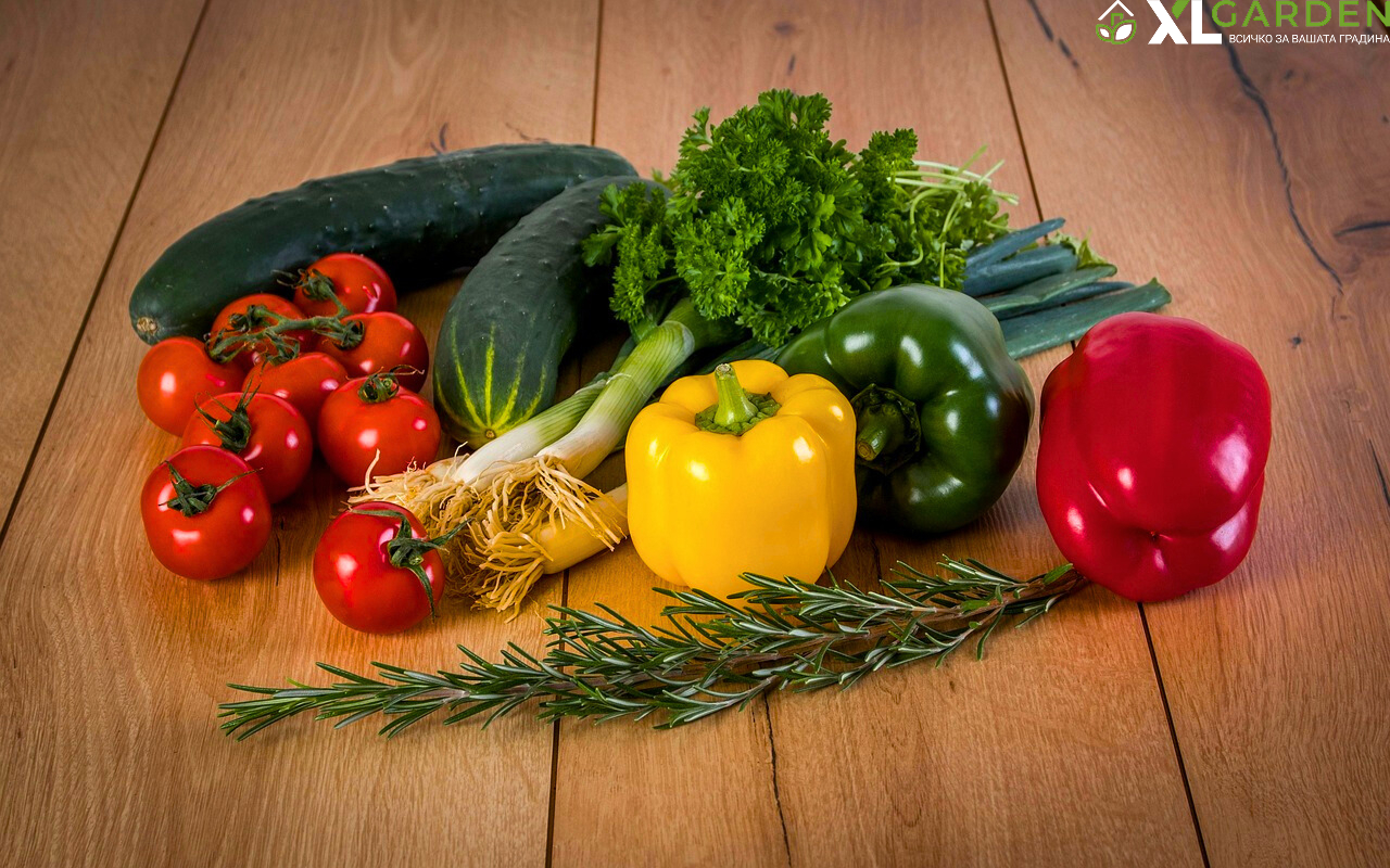 отглеждане-на-зеленчуци-xlgarden.com