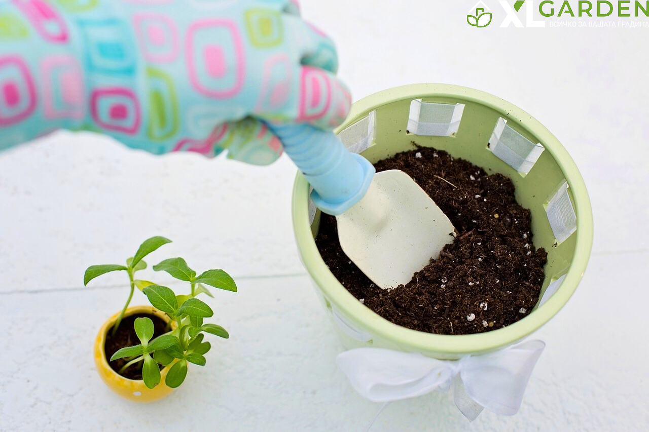Почва-за-разсад-xlgarden.com