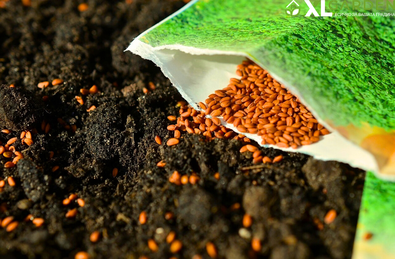 Почва-за-семена-xlgarden.com