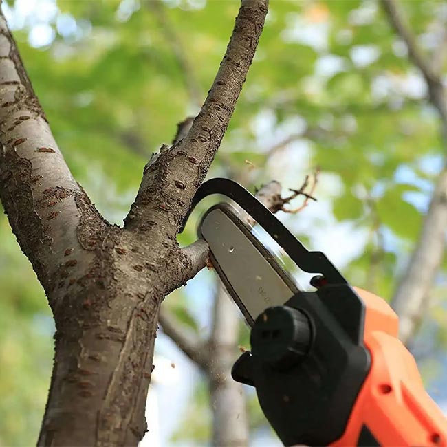 Акумулаторна верижна кастрачка YARDFORCE LS C13 20V к-т » XLGarden
