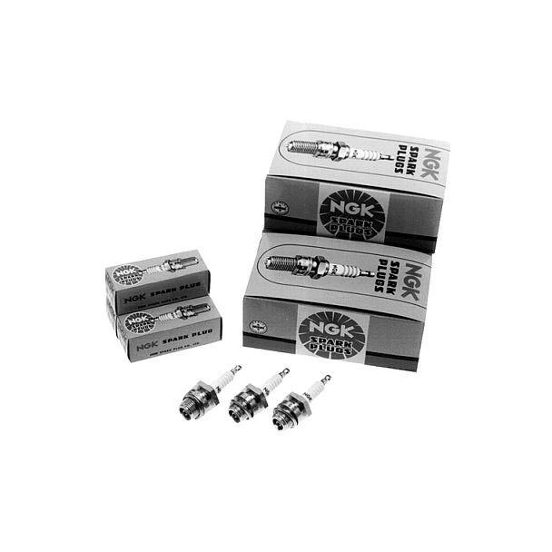 Свещ за моторни коси NGK-BM6A Arnold Parts 3021-N2-0110 » XLGarden